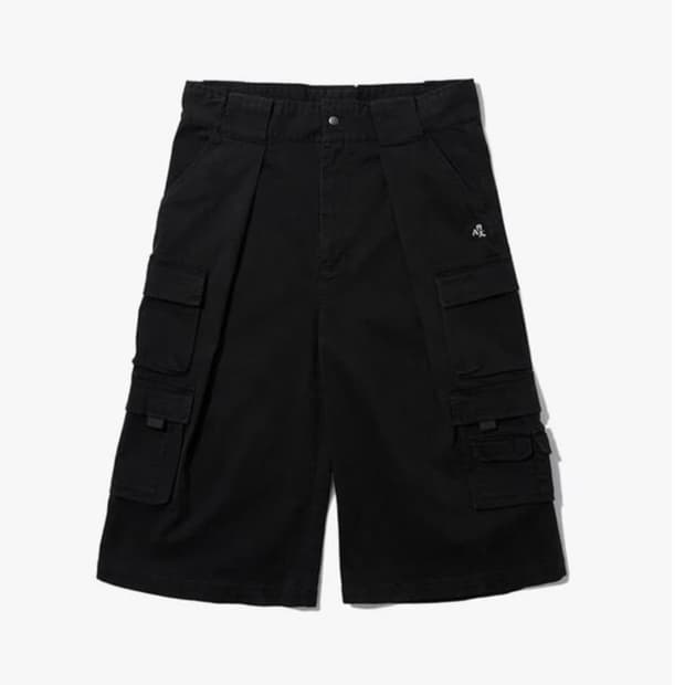 구합니다) 혁오 AAA TECHNO PANTS 