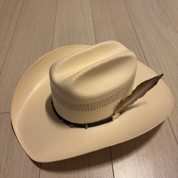 레지스톨 웨스턴햇