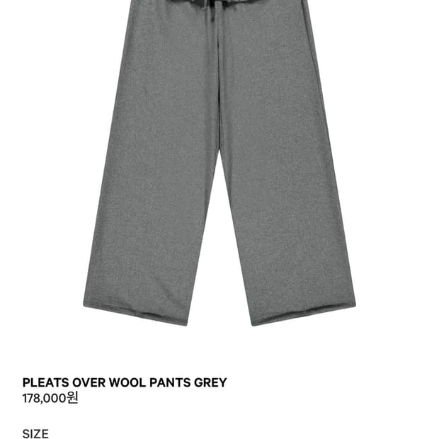 코이세이오 플리츠 오버 울 팬츠 그레이