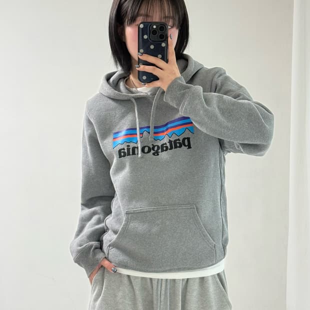 파타고니아 그레이 후드티