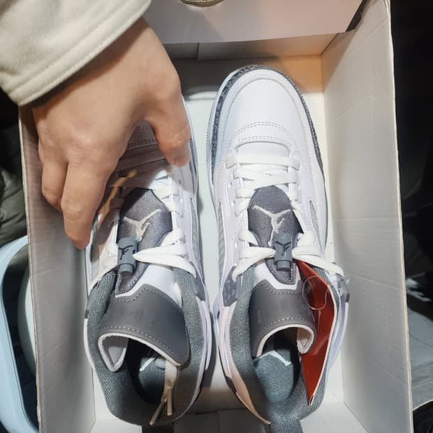 Nike jordan spizike low