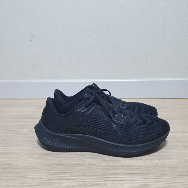 나이키 페가수스 40 운동화 280