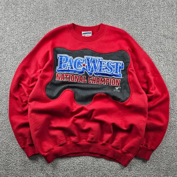 HANES 아플리케 커스텀 맨투맨 스웻 셔츠 ( L ) / 9350