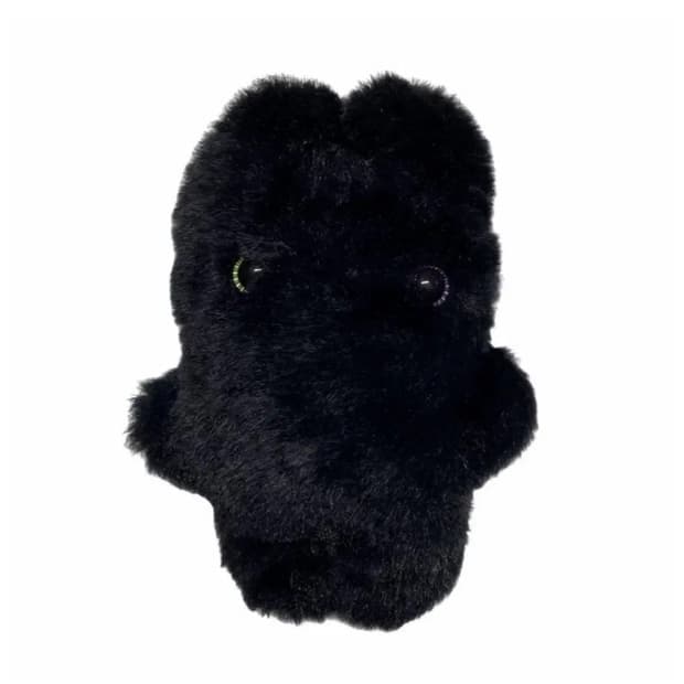 지초이 오리지널 지초 구해요