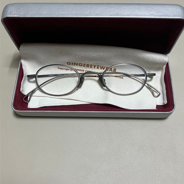 진저아이웨어 다이버 T 실버 팝니다