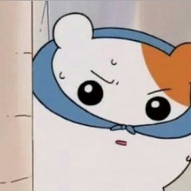 xunnyxxx님 슈프림 결제창