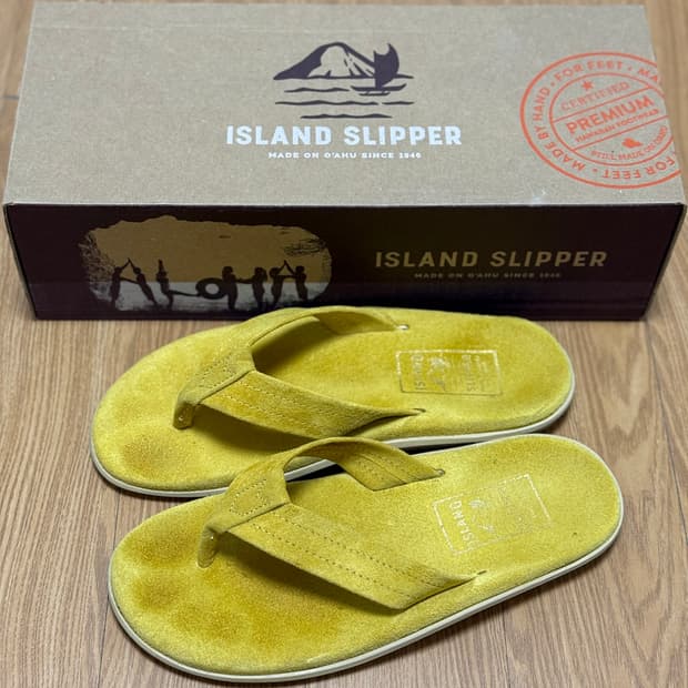 아일랜드 슬리퍼 옐로우 8