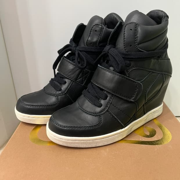 Ash 쿨터 레더 하이탑 38 새상품