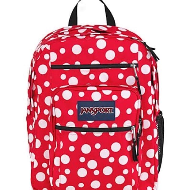 잔스포츠 도트 백팩 레드