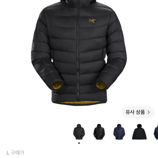 L) 아크테릭스 토륨 AR 후디 24K