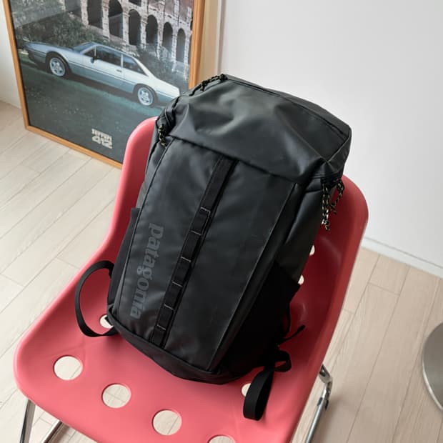 patagonia 파타고니아 블랙홀 25L 백팩 가방