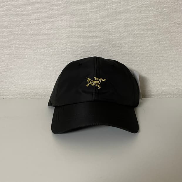 아크테릭스 스몰 버드 볼캡 모자