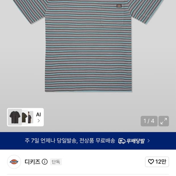 급처 디키즈 스트라이프 반팔 L