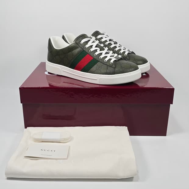 구찌 에이스 웹 스니커즈 ( 260 )