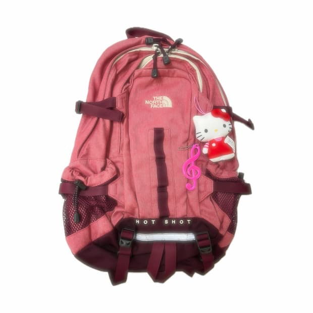 노스페이스 HOT SHOT 핑크 백팩 🎀