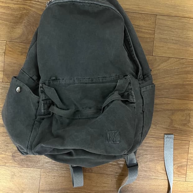 해칭룸 다이드백팩