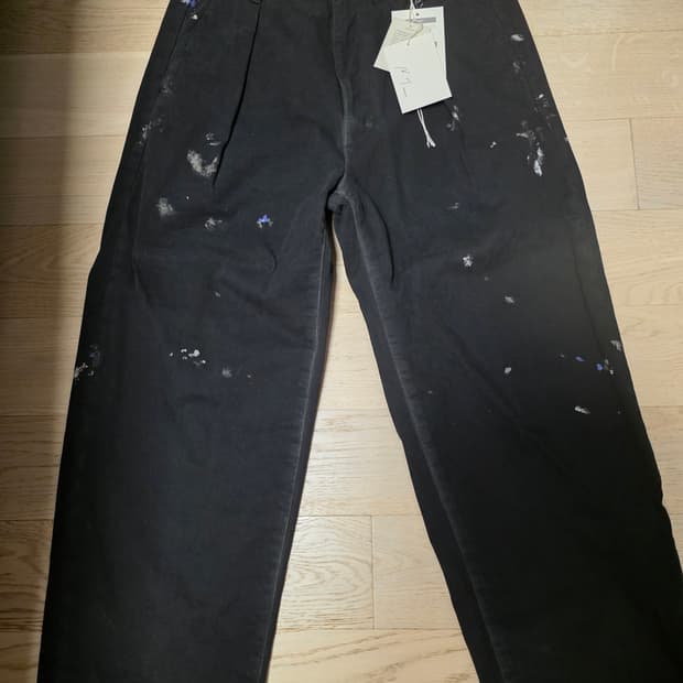 안셀름 페인트치노 2