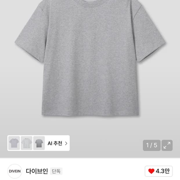 다이브인 크롭반팔 회색