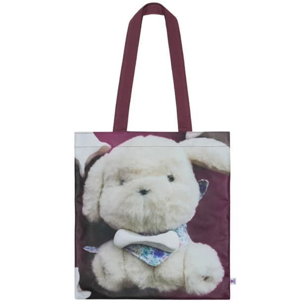 코이세이오 오후백