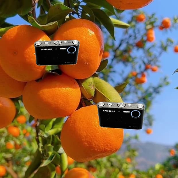 입문&필름색감!) Samsung VLUU NV3 디카 카메라