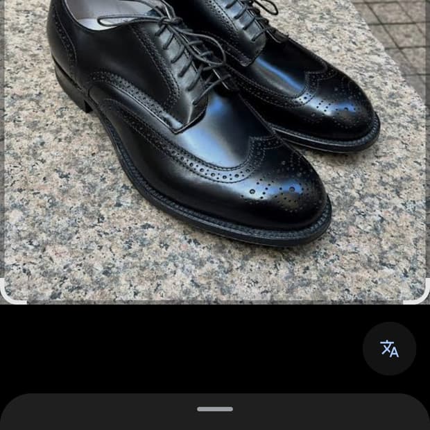 알든5420모디파이드윙팁더비카프8D