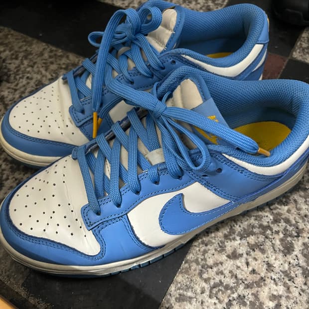 나이키 덩크 로우 코스트 (240)