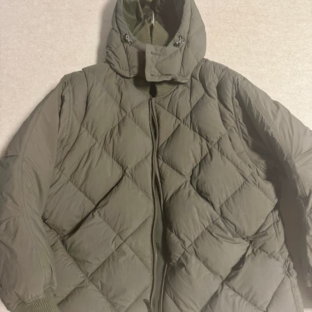 다이와피어39 4way 다운