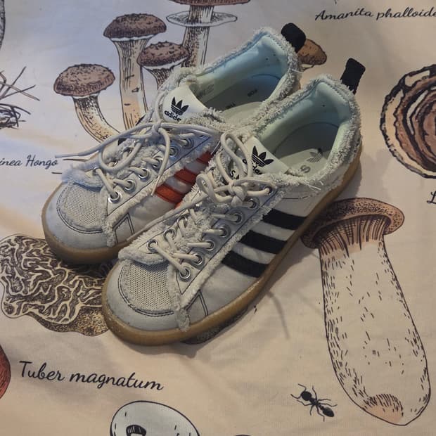 아디다스 송포더뮤트 캠퍼스 280