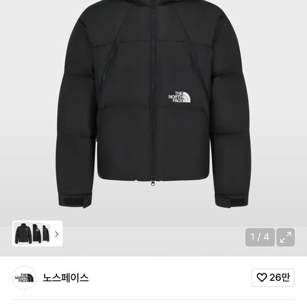 노스페이스 프로젝트 다운 L