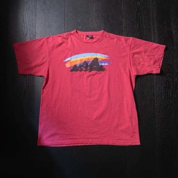 1987s Patagonia Brushstroke Logo T-Shirt
