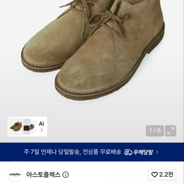 아스토플렉스 260 위스키 41 새제품