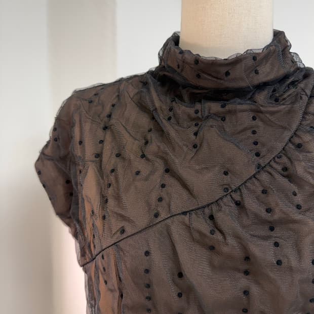 Mesh Dot High Neck Top