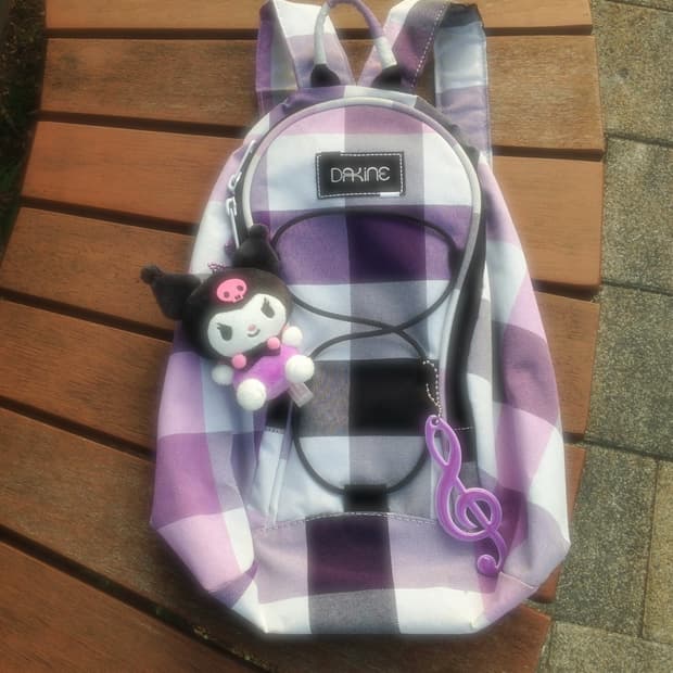 🍇 Dakine 포도 체크 백팩