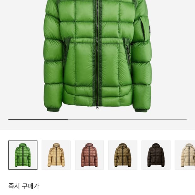 Cp컴퍼니 dd쉘 그린 삽니다