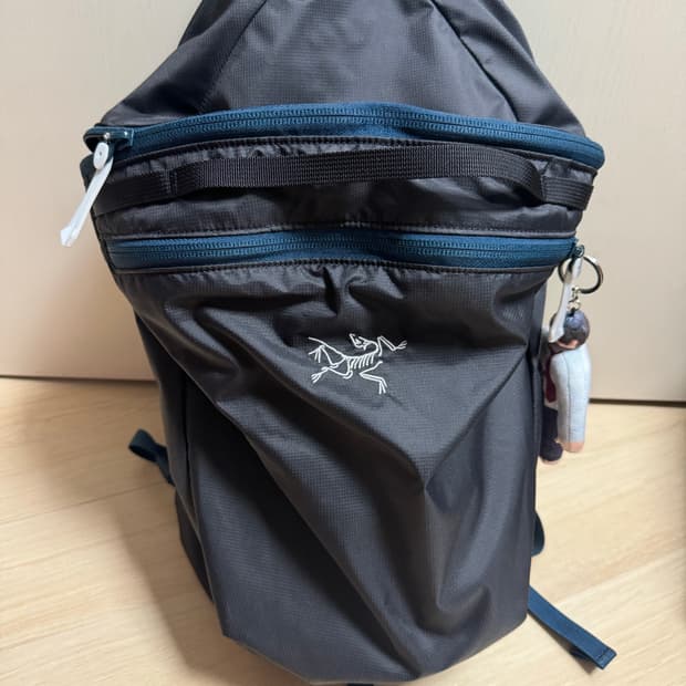 아크테릭스 헬리아드 15 백팩 로데스타