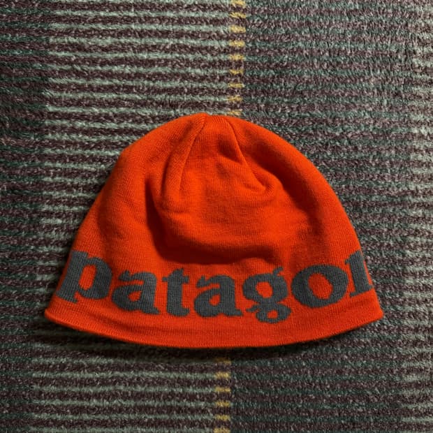 파타고니아 비니