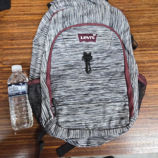 리바이스 지브라 패턴 백팩 