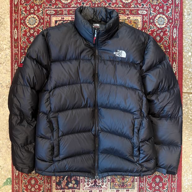 노스페이스 써밋시리즈 구스다운 패딩 [ 100 ]