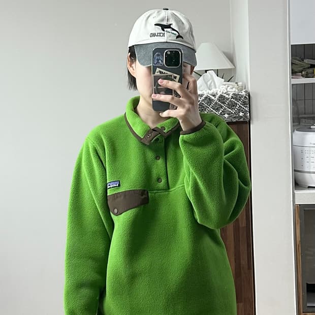 파타고니아 신칠라