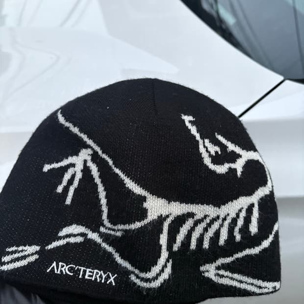 아크테릭스 비니