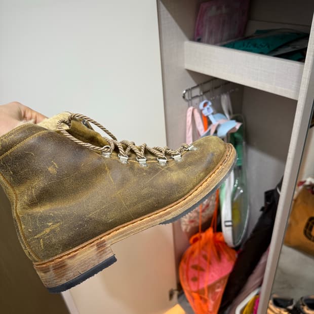 파라부트 슐탄 콜라보 아보라이즈