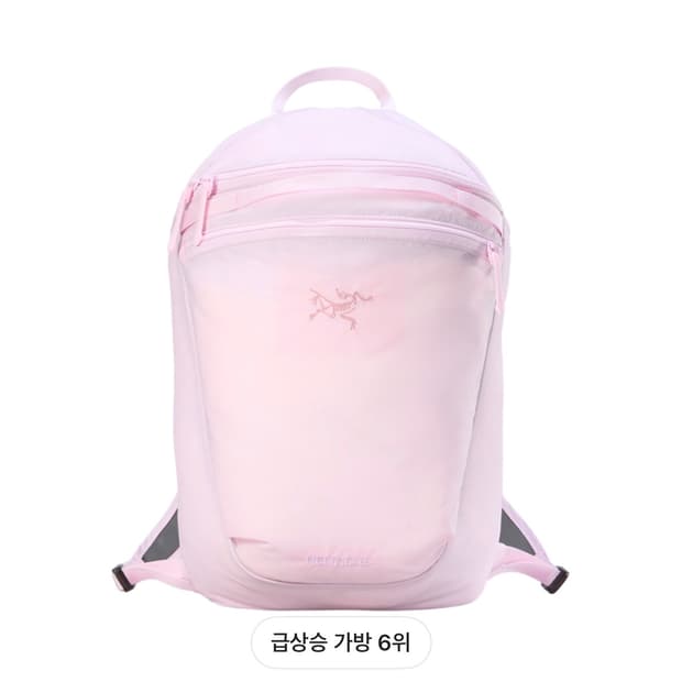 아크테릭스 헬리아드15 백팩 핑크 글로우