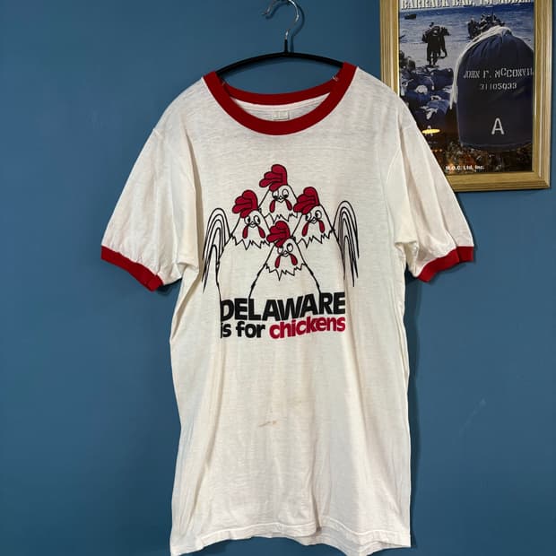 80s Vtg DELAWARE Ringer Tee