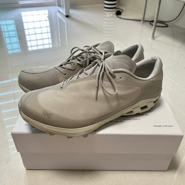 온러닝 파프 클라우드벤쳐 아이스문 295