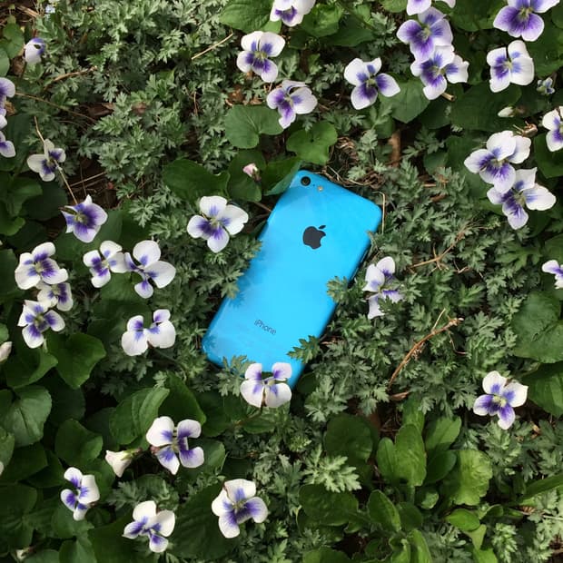 아이폰 5c 16gb 블루 (마지막 3장 작례)