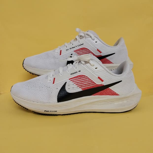 남성 나이키 페가수스 40 엘리우드 킵초게 런닝화, 운동화 (270)