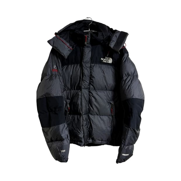 노스페이스 써밋 시리즈 700 필파워 윈드스토퍼 다운 자켓