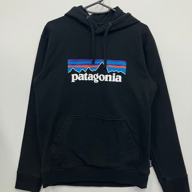 파타고니아 P-6 로고 후드티