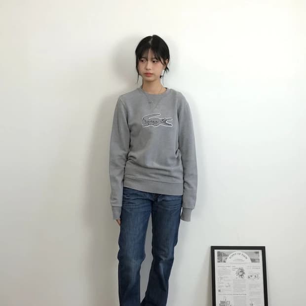 Lacoste Big Logo Sweatshirt Gray