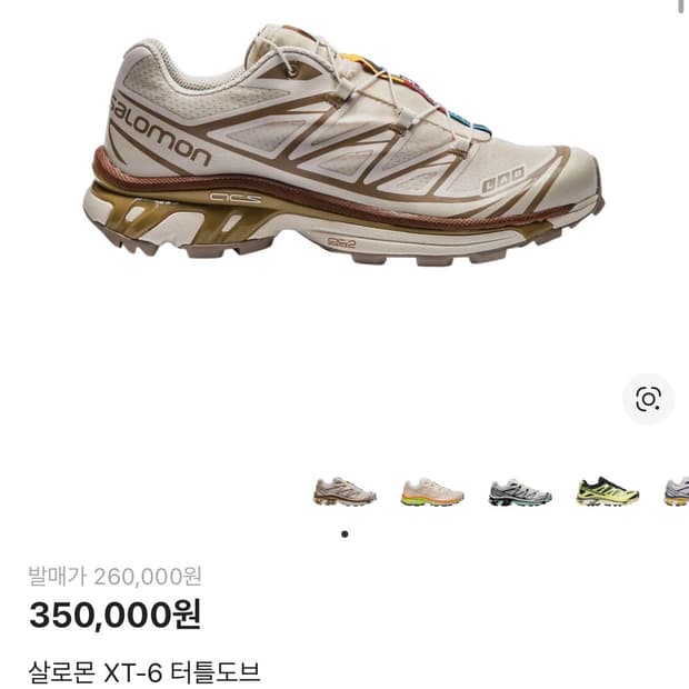 살로몬 XT-6 터틀도브